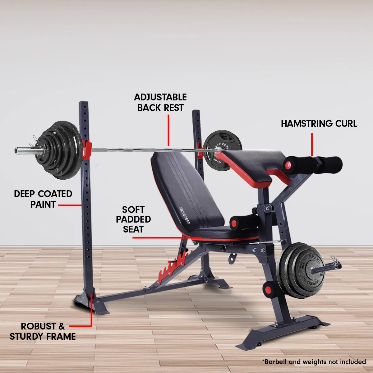 Adjustable Powder Coated Weight Bench with Curl Station