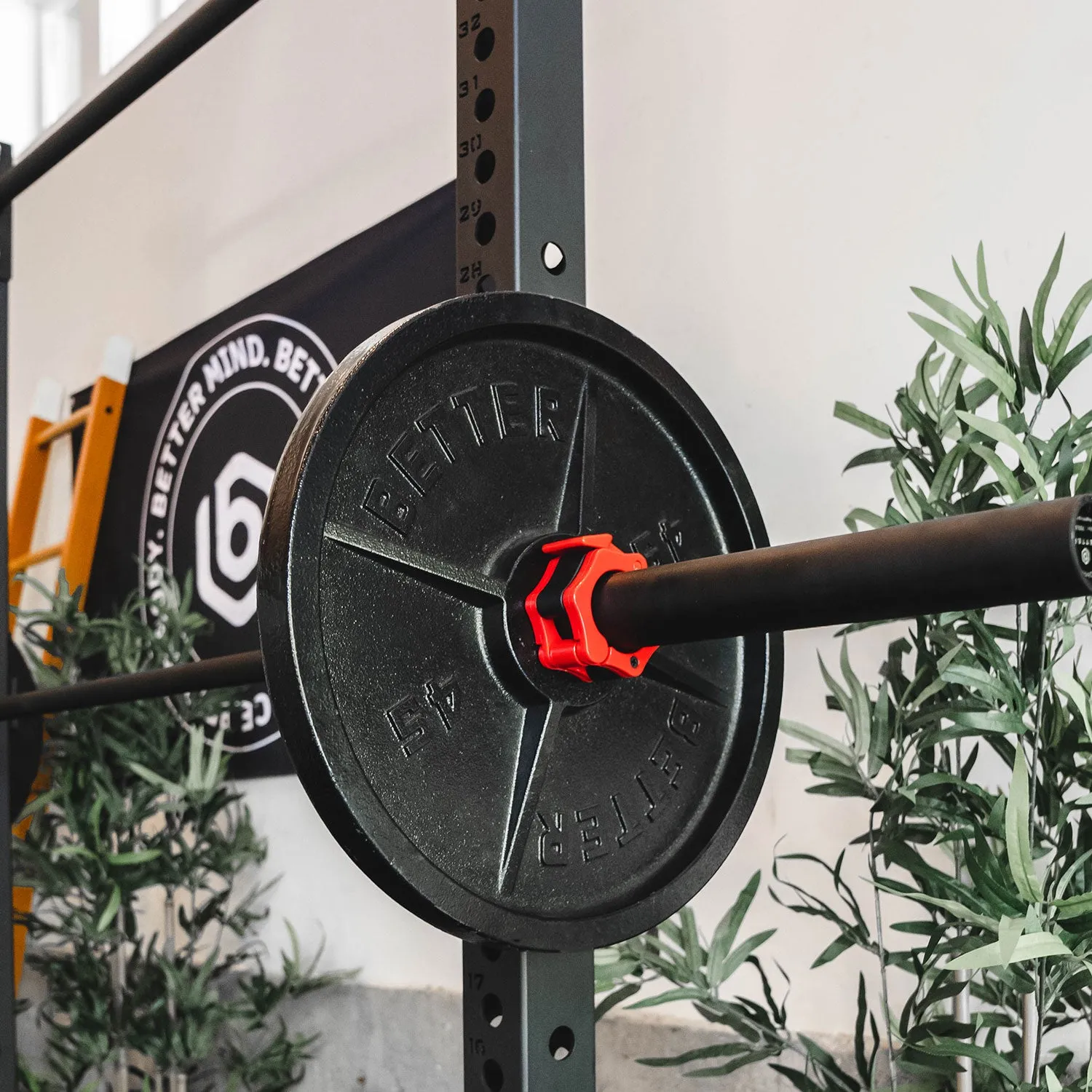 Better Body Barbell and Weight Bundle | 5-45lb