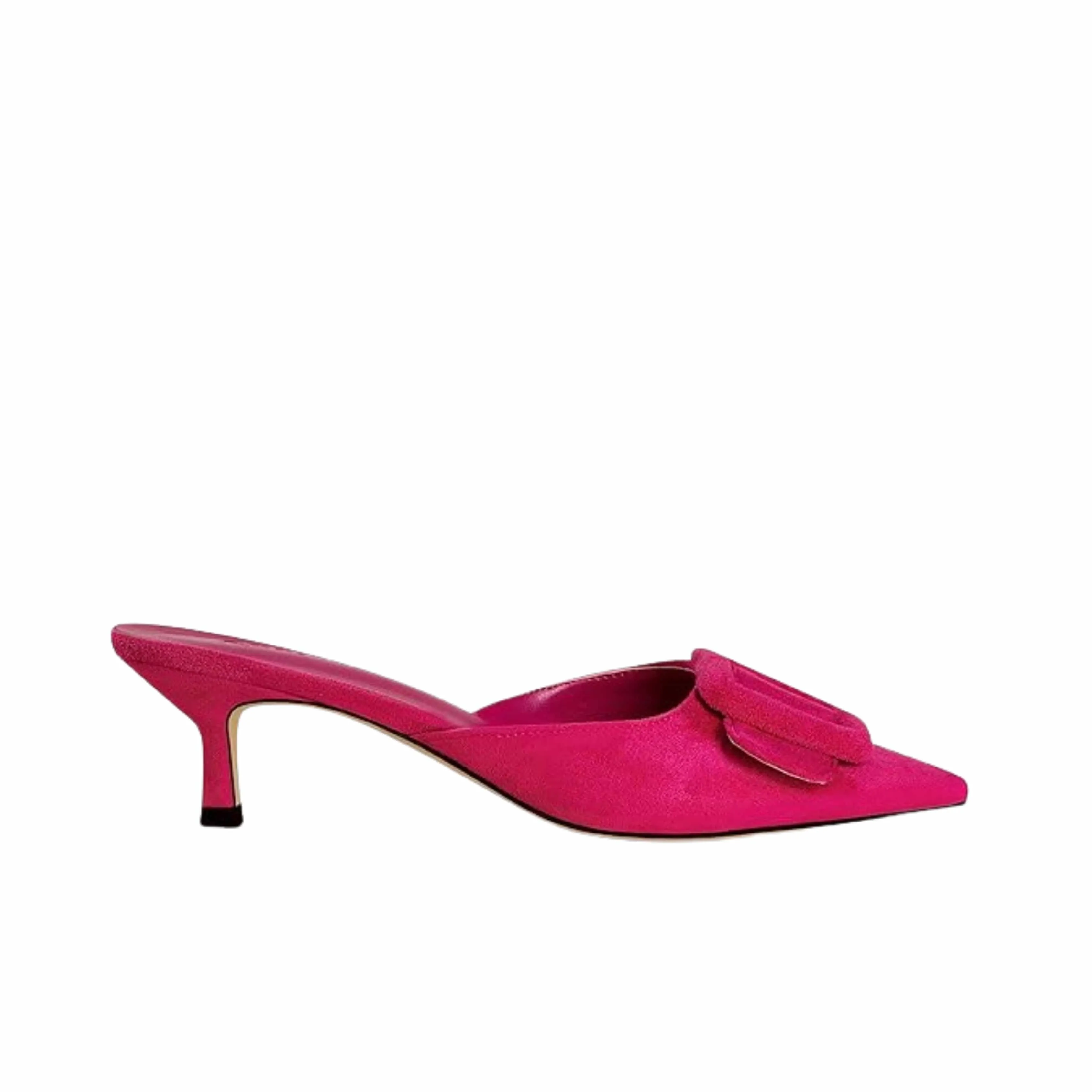 FERIZCOT - Slingback Buckle Pumps Pointed Toe