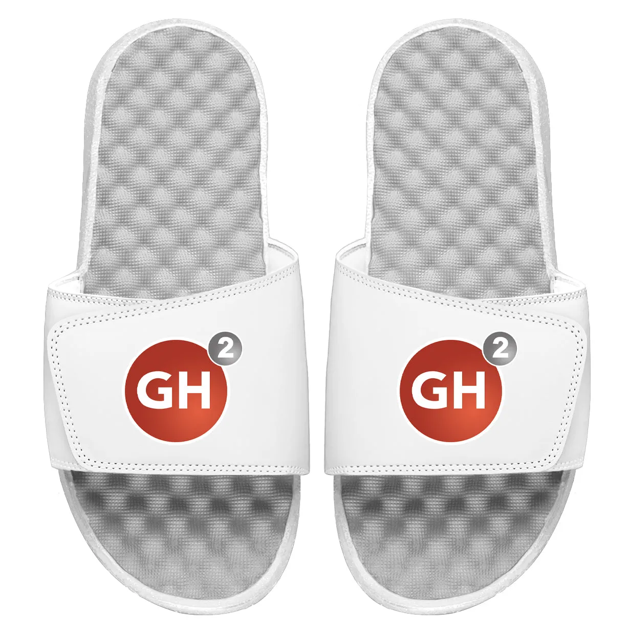 GH2 Fitness Circle Logo Slides