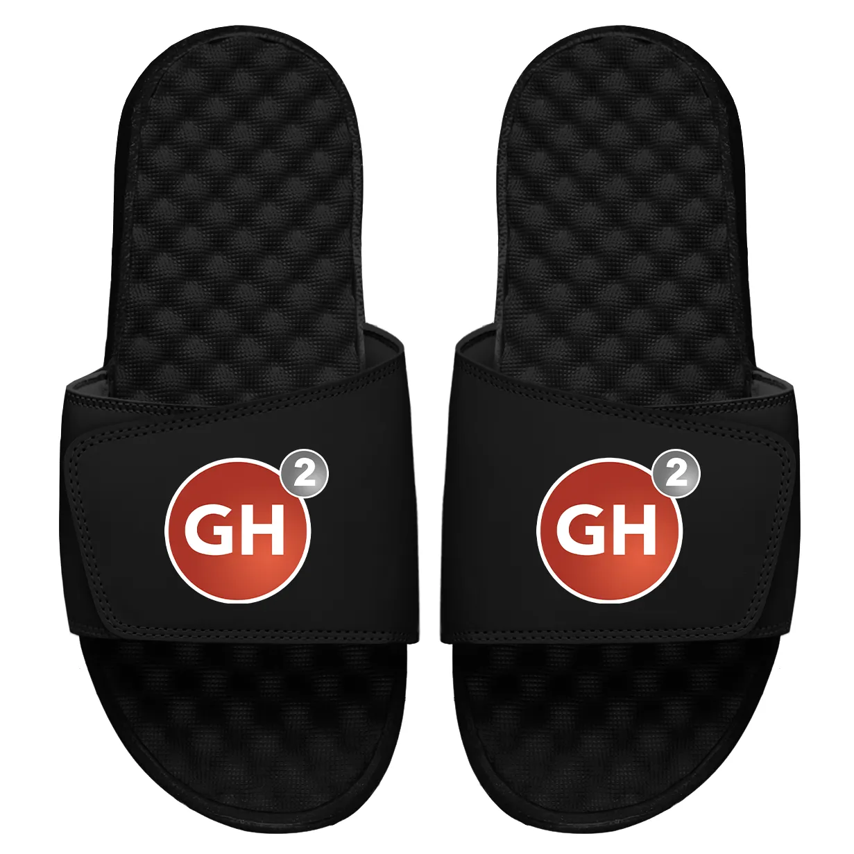 GH2 Fitness Circle Logo Slides