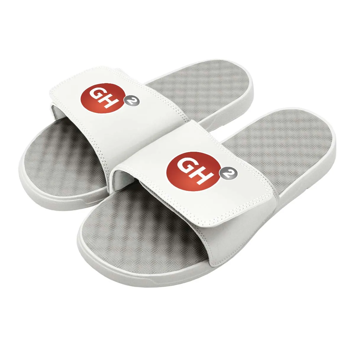 GH2 Fitness Circle Logo Slides