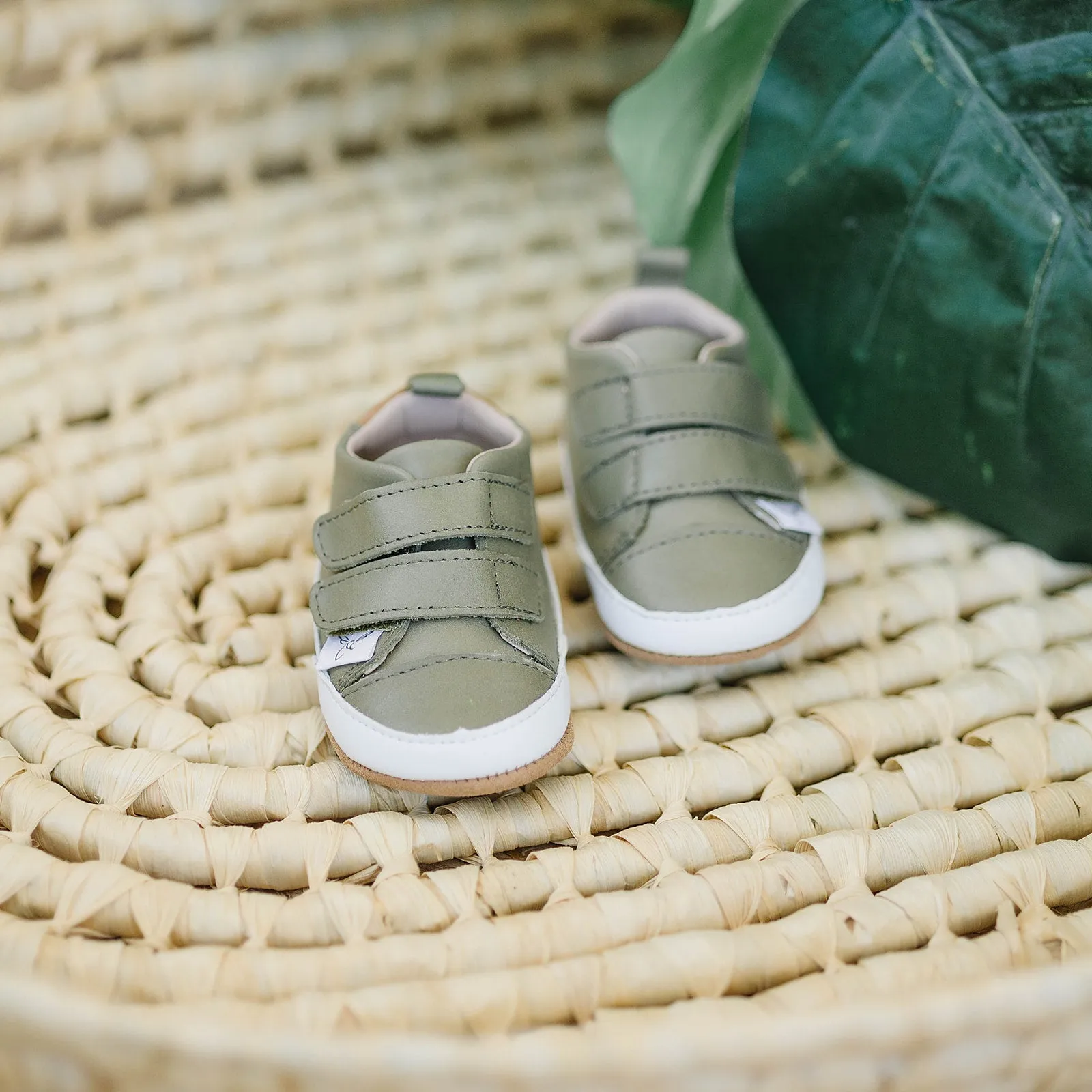 Little Love Bug Casual Army Green Low Top {Premium Leather}