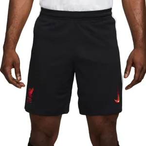 Nike Liverpool FC 2024/25 3rd Shorts