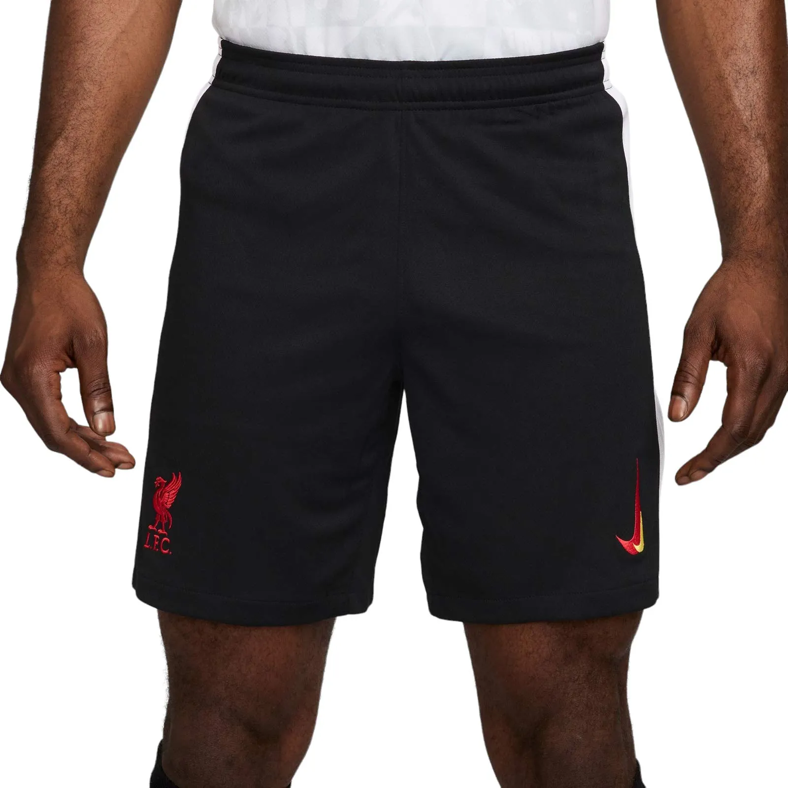 Nike Liverpool FC 2024/25 3rd Shorts