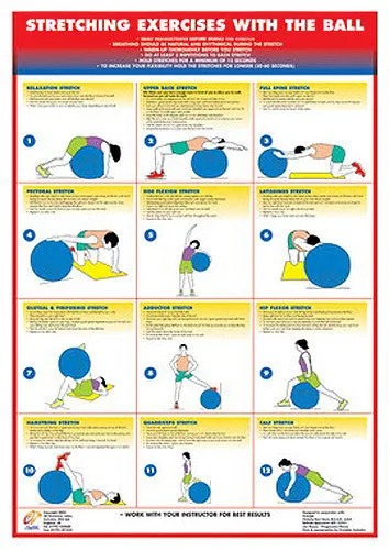 Stretching Exercises With the Ball Fitness Wall Chart Poster - Chartex Ltd.